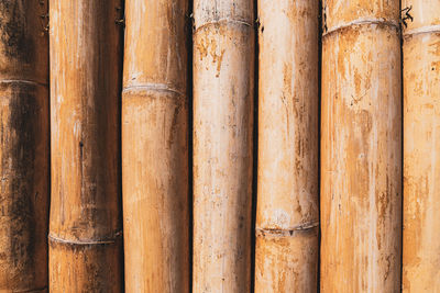 Full frame shot of bamboo