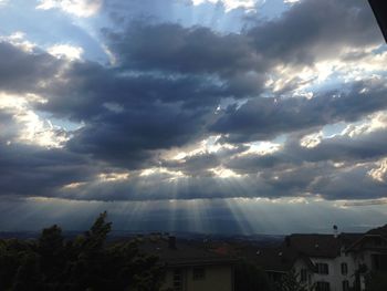 Sunlight streaming through trees and buildings against sky