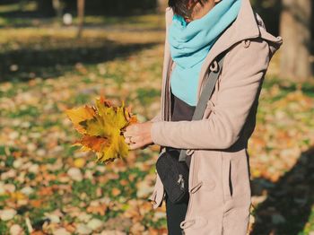 Midsection of mid adult woman holding maple leaves at park