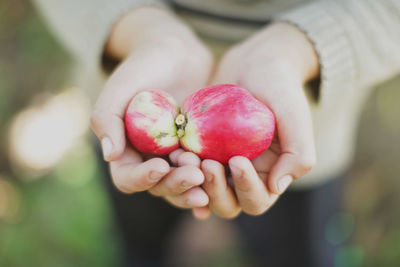 Close-up of hand holding flower