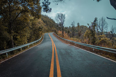 Surface level of empty road against trees