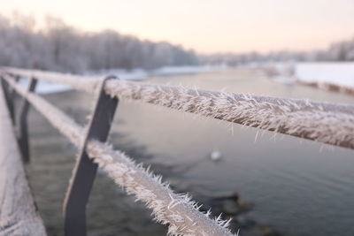 Close-up of frozen railing during winter