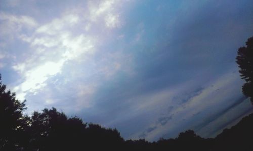 Low angle view of trees against cloudy sky