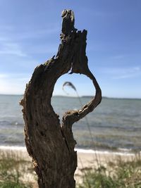 Driftwood on tree trunk by sea against sky