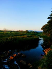 Scenic view of calm lake against clear sky