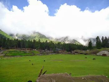 Scenic view of grassy field against cloudy sky