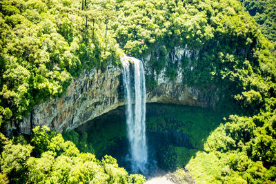 Scenic view of waterfall in forest