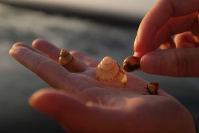 Close-up of people holding hands