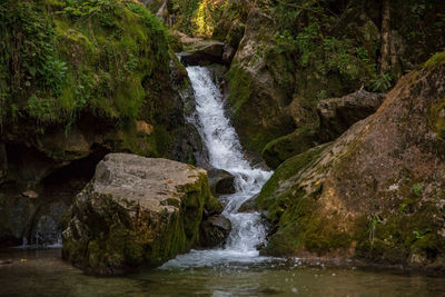 Scenic view of waterfall in forest