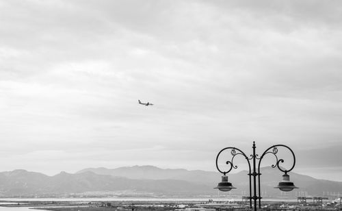 Bird flying over sea against sky