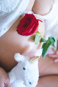 High angle view of white roses