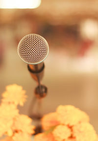 Close-up of microphone