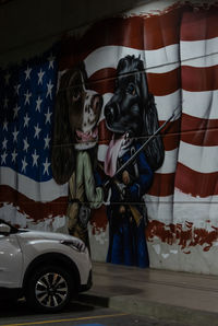 View of dog on car