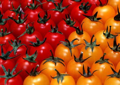 Full frame shot of tomatoes