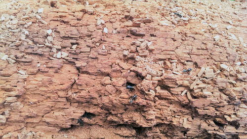 Full frame shot of stone wall