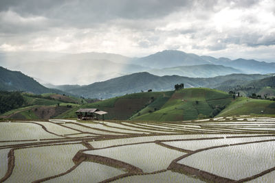 Scenic view of agricultural field against sky
