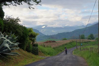 Rear view of man riding motorcycle on road against sky