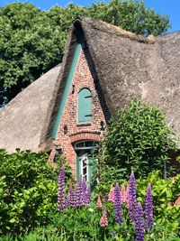 Flowering plants by building against trees