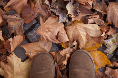 Full frame shot of feet standing on dry leaves