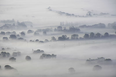 Trees and floodlights sticking out above a layer of morning mist