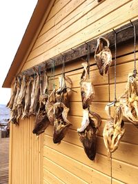 Close-up of clothes drying on wood