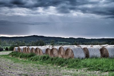 Close-up of hay bales on grassy field