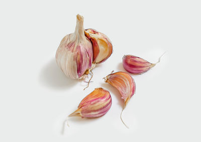 shallot
