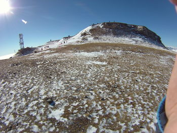 Low angle view of lizard against clear sky