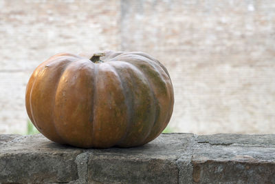 Close-up of pumpkin against wall