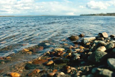 Close-up of pebbles on beach against sky