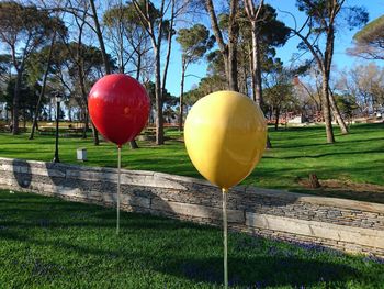 Red balloons on grass