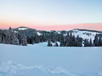 Scenic view of landscape against clear sky during winter