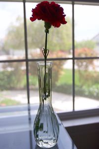 Close-up of flower vase against glass window