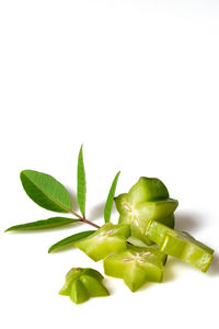 Close-up of green plant against white background