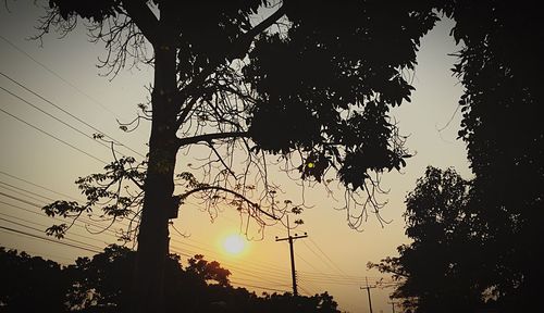 Low angle view of silhouette trees against sky during sunset