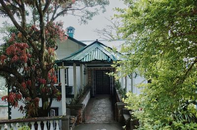 House amidst trees and building against sky