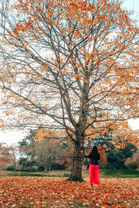 Woman standing by tree during autumn