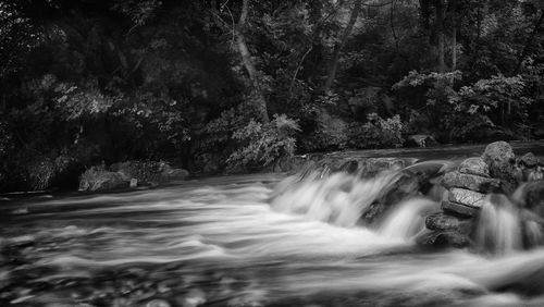 Scenic view of waterfall against trees in forest