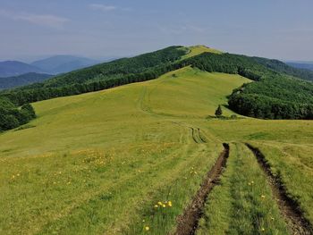 Scenic view of agricultural field against sky