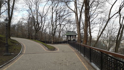 Empty road along bare trees and plants