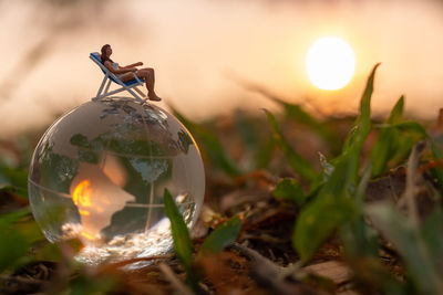 macro photography