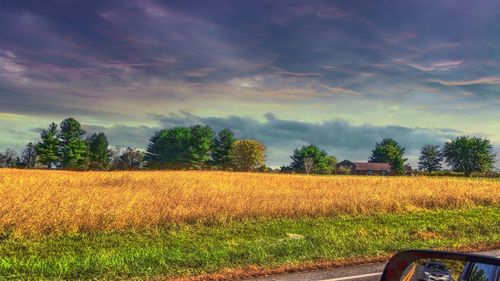 Scenic view of field against sky