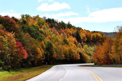 Road amidst trees against sky during autumn