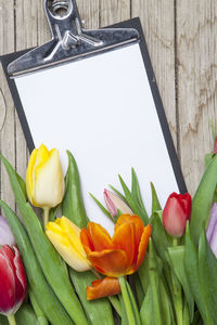 Close-up of tulips on table