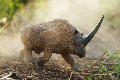 Elasmotherium on a misty forest. closeup dinosaur and monster model. toy.