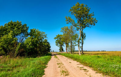 Road amidst trees on field against blue sky