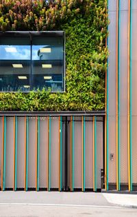 Multi colored building with greenery in city