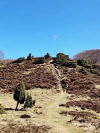 Scenic view of land against clear blue sky