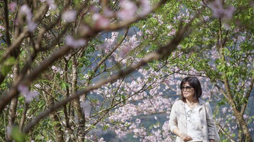 Woman standing by tree against plants