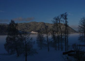 Trees on snowcapped field at dusk